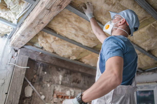 Best DIY Insulation Kits and Guidance in Mobridge, SD